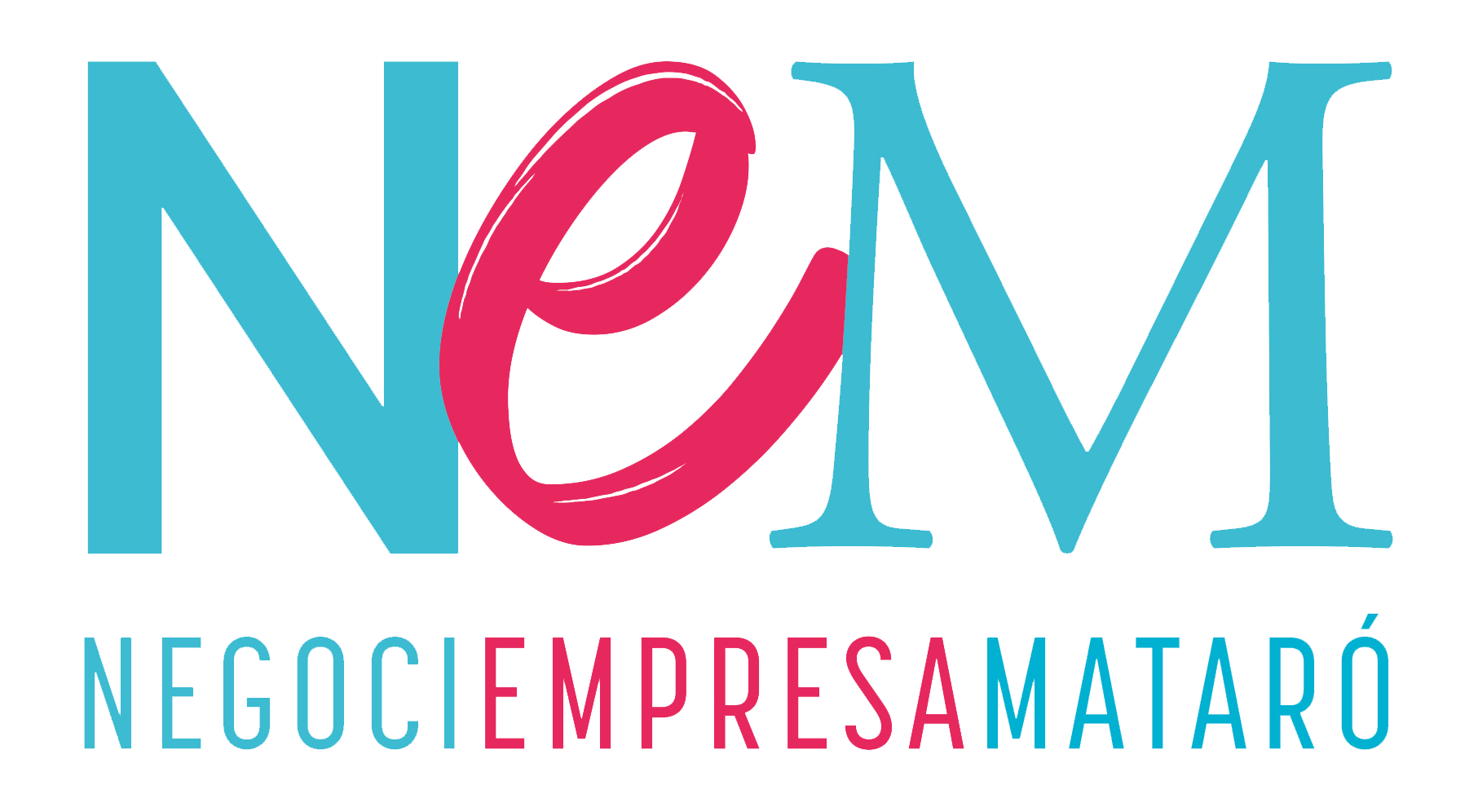 NEM LOGO